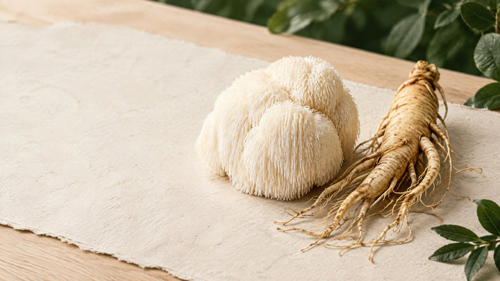 Lion's mane mushroom beside Panax ginseng root for a guide to reading labels